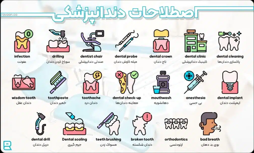 اصطلاحات دندانپزشکی 1 اصطلاحات-دندان-پزشکی